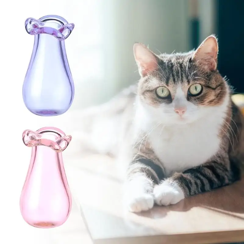 Pack of 4 Tiny Glass Vases Cats Whiskers Holder Miniature Flower Jars Small Decorative for DIY Plant Decoration 3
