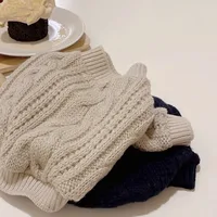 Solid Winter Sweater for Small Pets