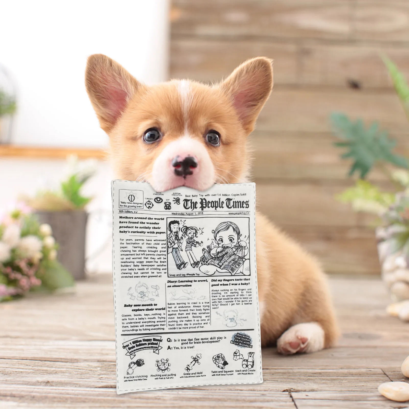 Funny Fake Newspaper - Dog Chew Toys