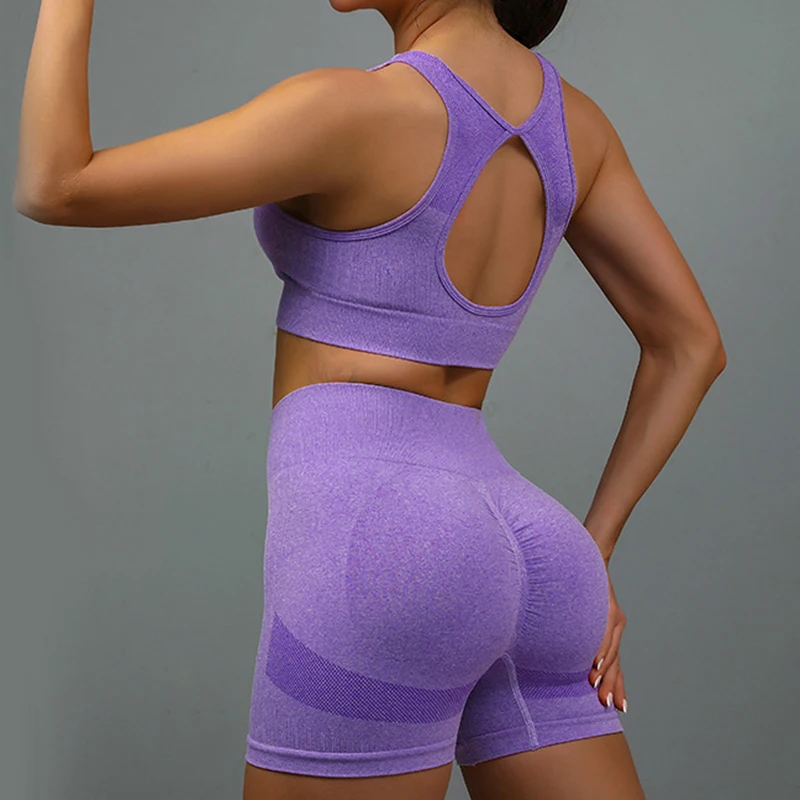 2 Pcs Yoga Set Women Hollow Back Sports Bra+Hip Lifting Sports Shorts Workout Set Seamless Fitness Gym Set Sportswear Tracksuit 2