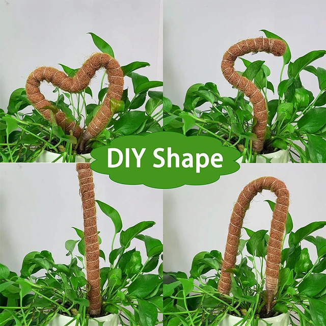 Diy Hajlítható Növényoszlopok Növényekhez Monstera Botok Támogatják A Beltéri Kiképzést, Hogy Felfelé, Kézzel Készített Tétek Mászáshoz Nőjenek - Image 5