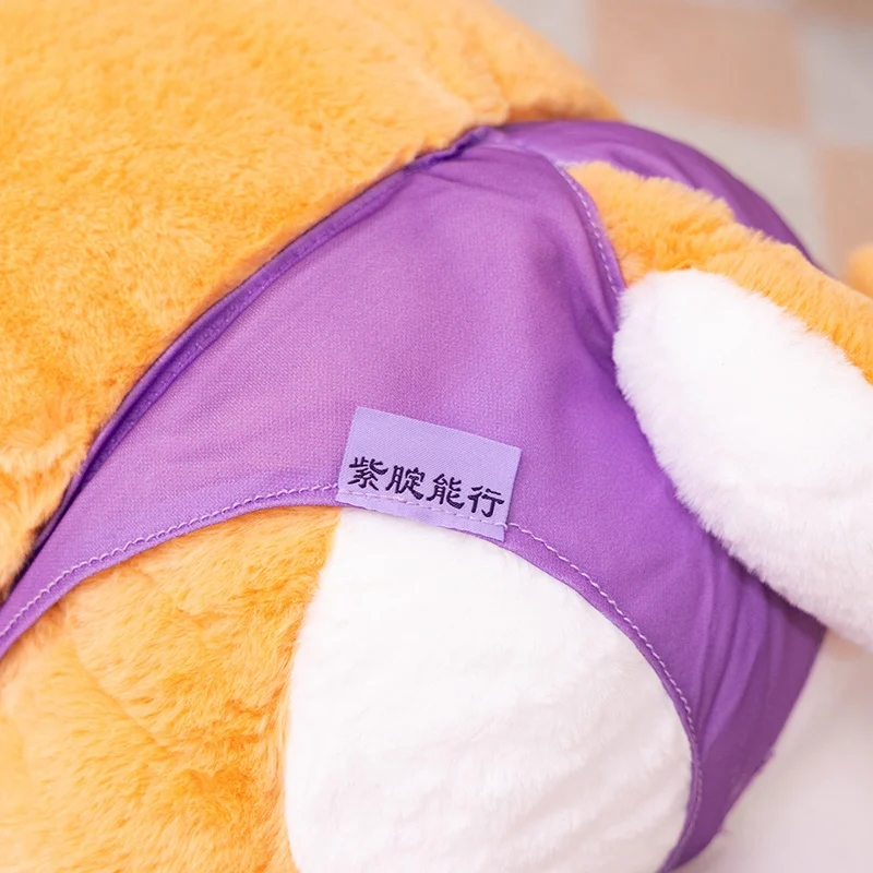 S7d554ac0808f49e9a365a6a899f36097z - Corgi Gifts