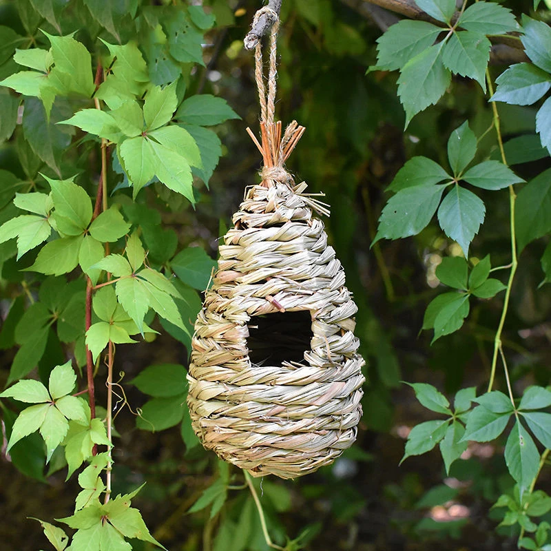 Рисунок 5 - Пасторальное Птичье гнездо