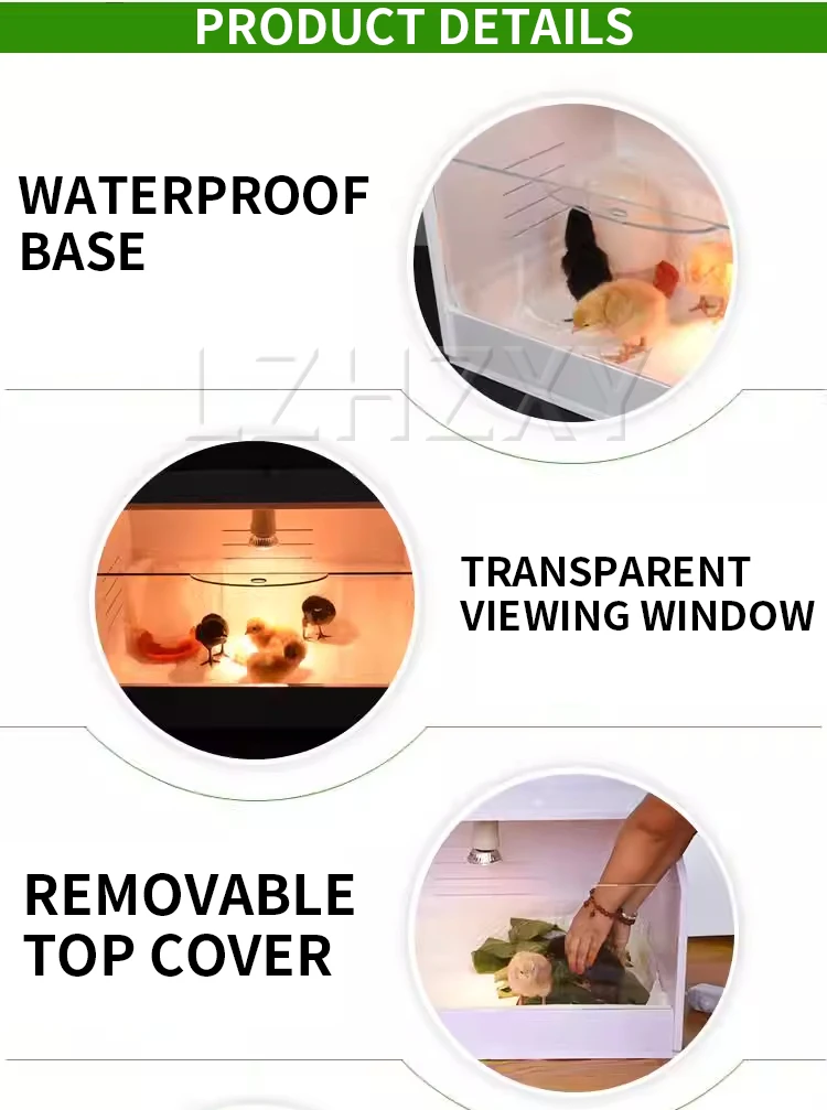 Chick Incubator, Quail/Duckling Heating and Incubation Box, Poultry Farm Incubat