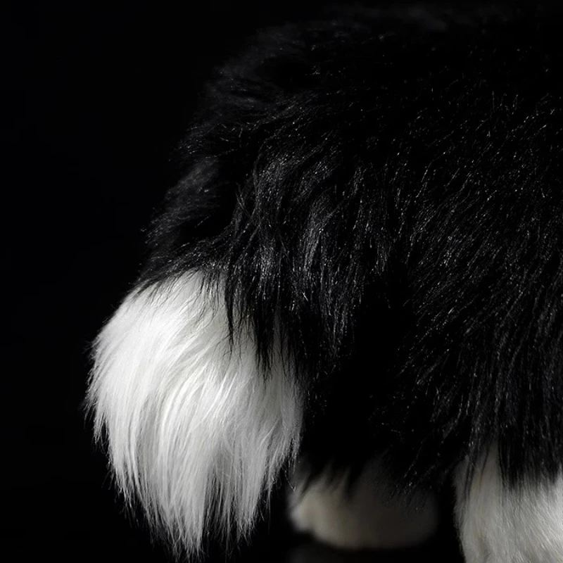 S7d56fe18cd814bbfb4bc7a9005595fbbL - Border Collie Gifts