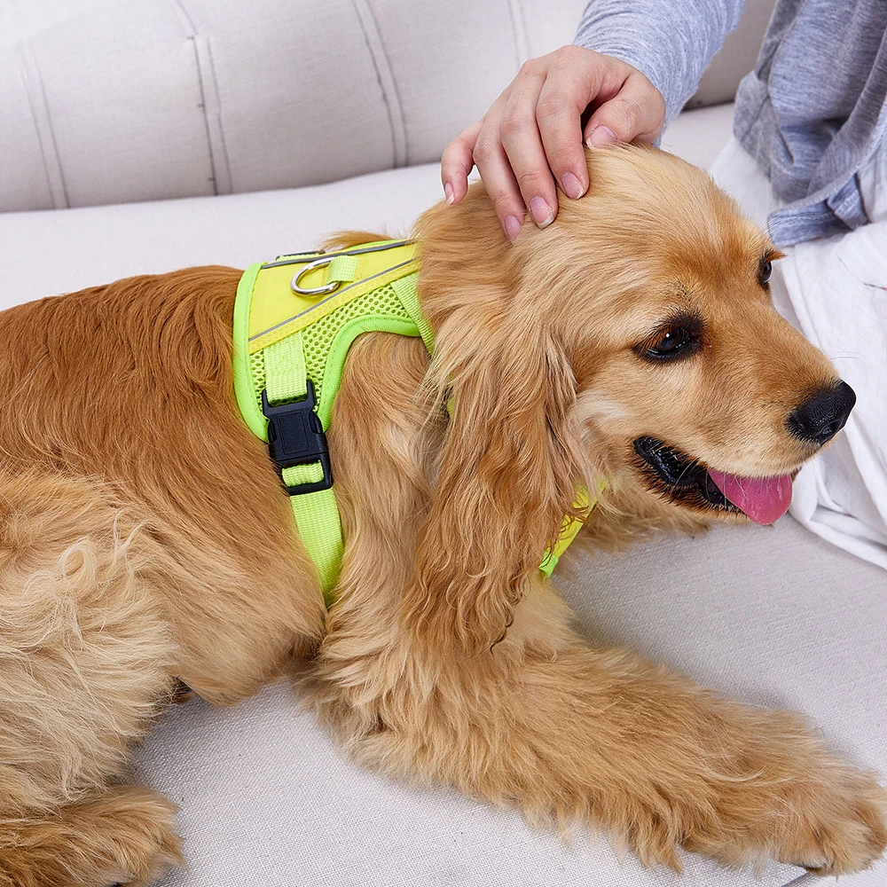Reflective Dog Harness And Leash Set With Soft Padding For Dogs_voghion.com