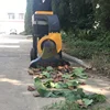 Leaves leaf cleaning sweeping machinery leaf suction machine 4