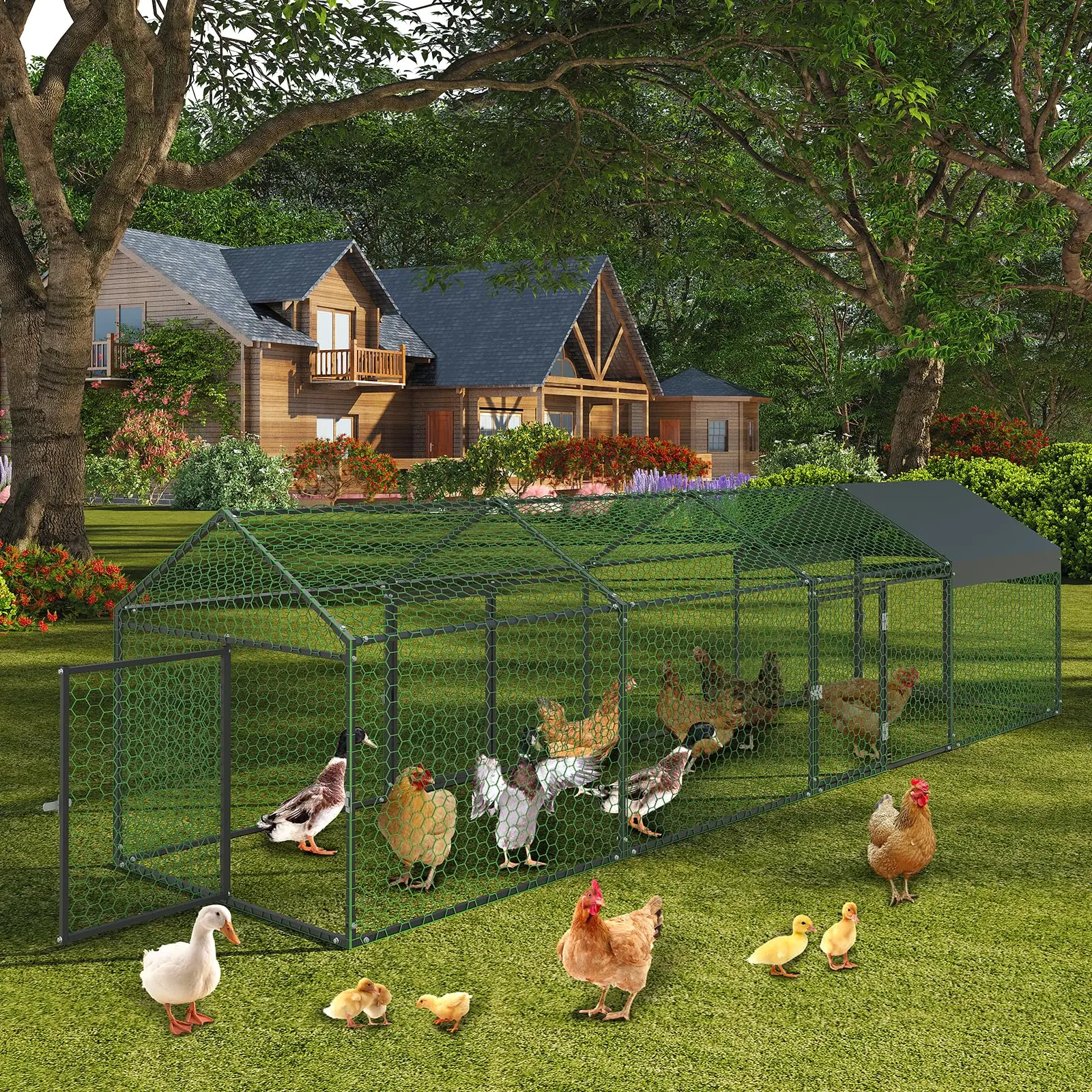 Heavy Duty Walk-in Metal Chicken Coop 1