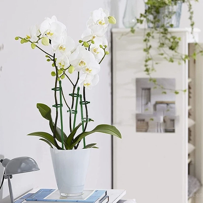 Garden Plant Supports Pole Flower Rose Butterfly Orchid Stem Support Rods Plant Climping Support Fixing Clamp Adjustable Height plastic plant supports plant stem support