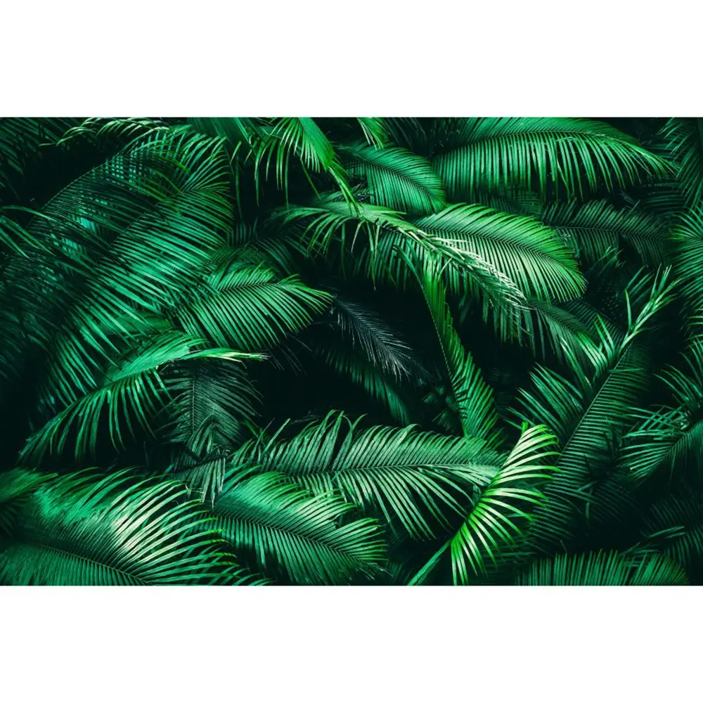 £   ڼ     ,   ް Ƽ    ǰ
