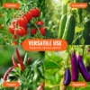 SucceBuy 6 Packs Tomato Cages for Garden Trellis Plant Stakes Suppor for Raised Garden Bed Vegetables Flowers Climbing Plants