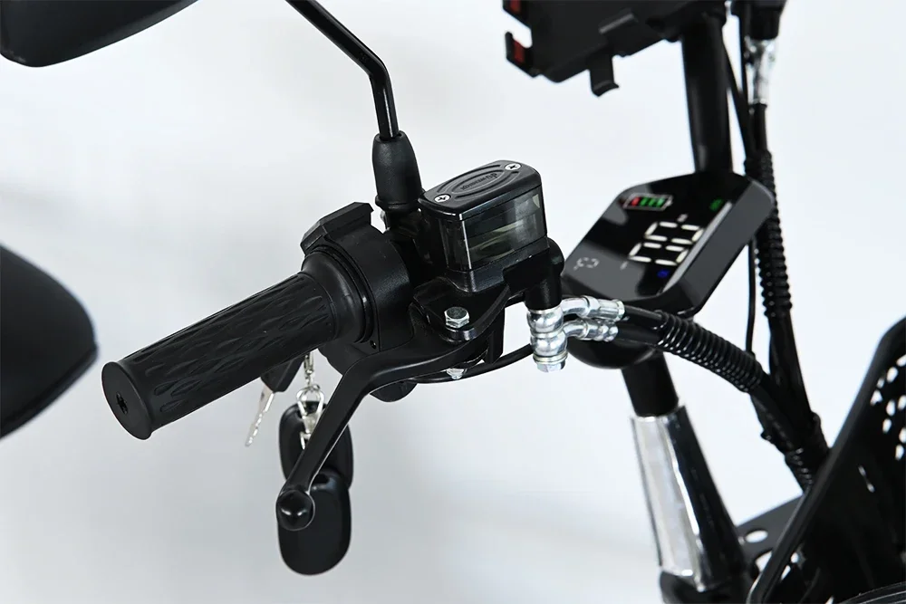 Electric Bike 48V 60V 15A 500W Fat Tires Ebike for Delivery Disiyuan Monster 16inch