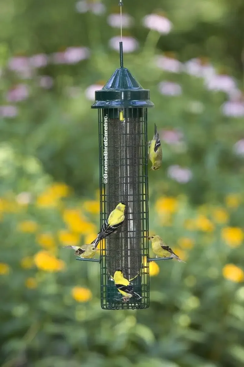 Squirrel Buster Finch Squirrel-proof Bird Feeder w/4 Metal Perches & 8 Feeding Ports, 2.4-pound Thistle/Nyjer Seed Capacity