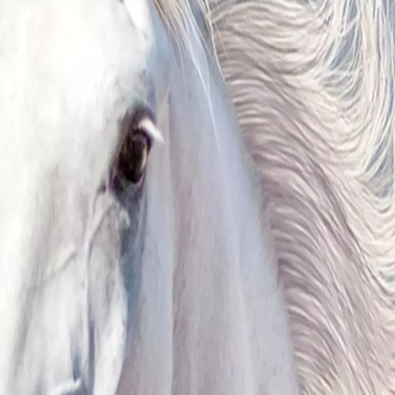 melhorias domesticas 03