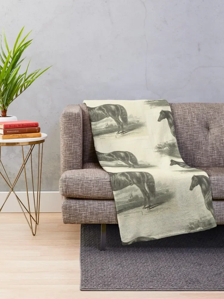 ��Ƽ�� ��� ȣ�� ��Ī ���ο� ���, ħ�� ���, ���Ÿ� ����, ����