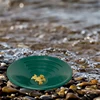10/14/15 inch Washing Gold Panning Machine Screen Mining Screen Metal Detection Tools Sieve Gold Pan Green Plastic Bowl 1/3 PCS 3