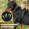 Tactical Dog Harness Pet Doberman Pinscher Pet Training Vest Dog Harness for Small Medium Large Dogs Explosion Proof 5