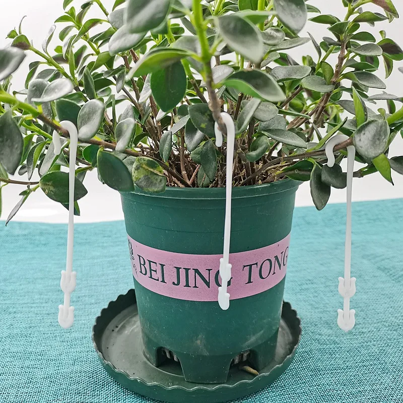 Tomato Support J Hooks 9.5/13/16CM Plant Support Vegetable Clips To Prevent Tomatoes Fruit Cluster From Pinching or Falling Off