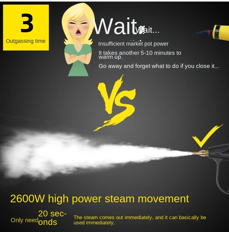 3000W 220V/110V Professional Steam Cleaner Handheld Steam Generator High Pressur