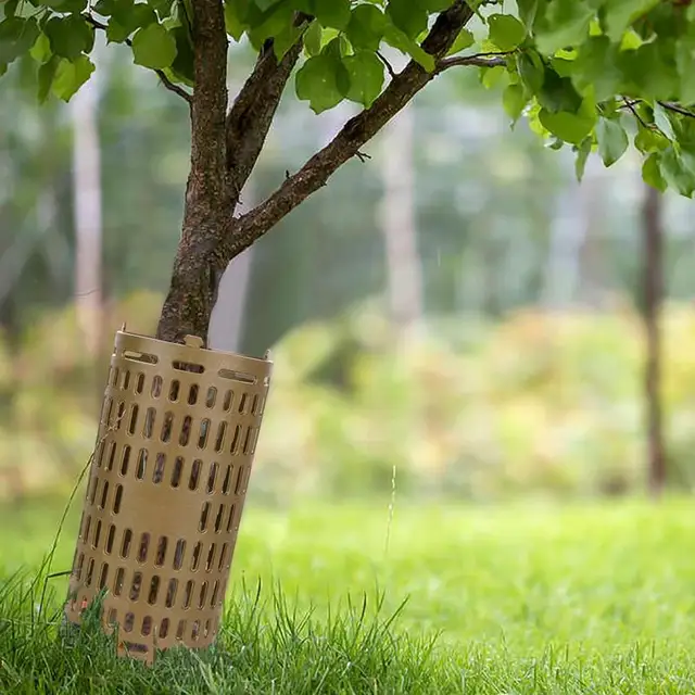 Szellőztetett Fa Csomagtartó Védővédő Állítható Növényvédői A Növekedési Szerszáma Őrök Kertészeti Szerszám - Image 3