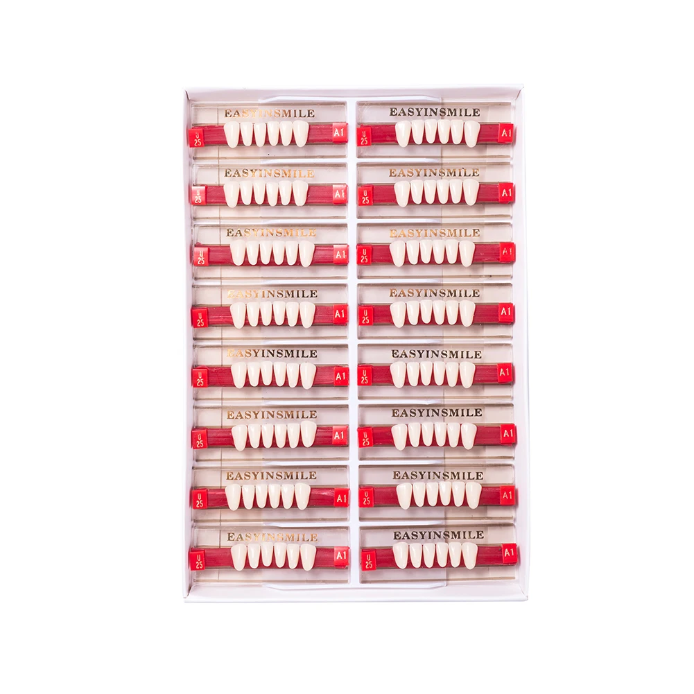 16/12 Sets/ Box Dental Denture Teeth Upper Anterior Lower Dentier Teeth A1 A2 A3 Synthetic Polymer Dental Education teeth Model 3