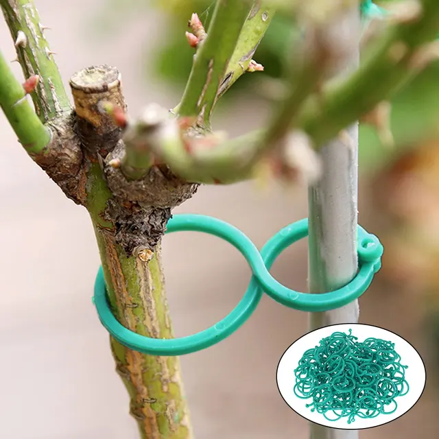 Kerti Növényi Javító Klipek Szőlőszíni Bilincs Üvegházhatású Gyümölcs Zöldségek Virágtartótámogatás Újrafelhasználható - Image 2