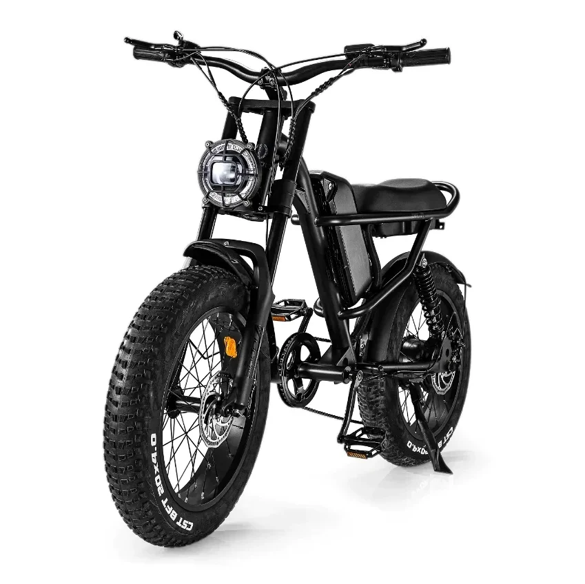 

Adult Electric Bicycle 2023 Z8 Fat Tire 20'' 500W 48V 15AH 45KM/H Black