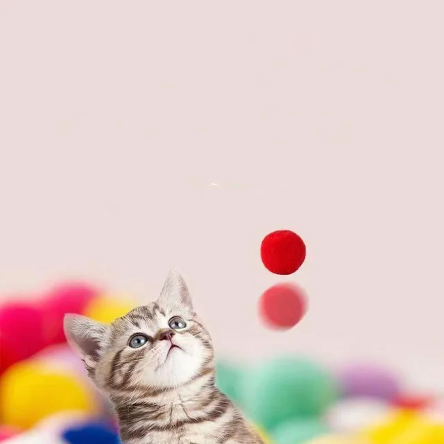 Interactive Cat Toy Gun: Engaging Laser Chase & Feathery Fun for Energetic Cats | Stimulates Play & Exercise 3
