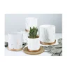 11/14/17cm Nordic Ceramic Flower Pots Small Succulent Green Plants Flowerpot with Tray Home Desktop Decoration Garden Supplies 5