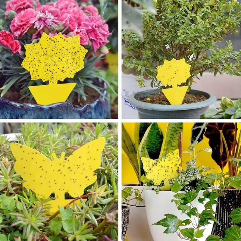 5pcs Sticky Traps Multiple Pot Pest Sticker Flying Insect Catching Control Sticker Double-sided Home Greenhouse Sticky Board