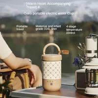 Electric Kettle 300ml 316 Stainless Steel Portable Thermostat S Kettle Travel Mini Thermal Mug 100-240V Household Electric Cup 1