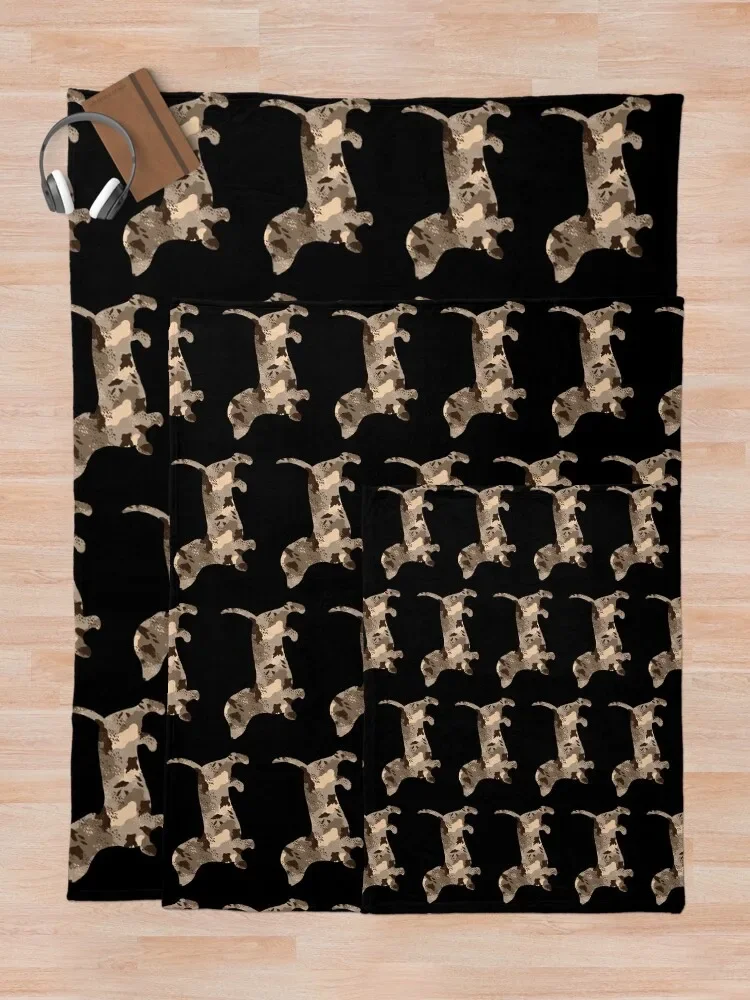 Dapple �ڽ���Ʈ �� ���� ������ ���, ���� ��Ʈ, ���� �� ���