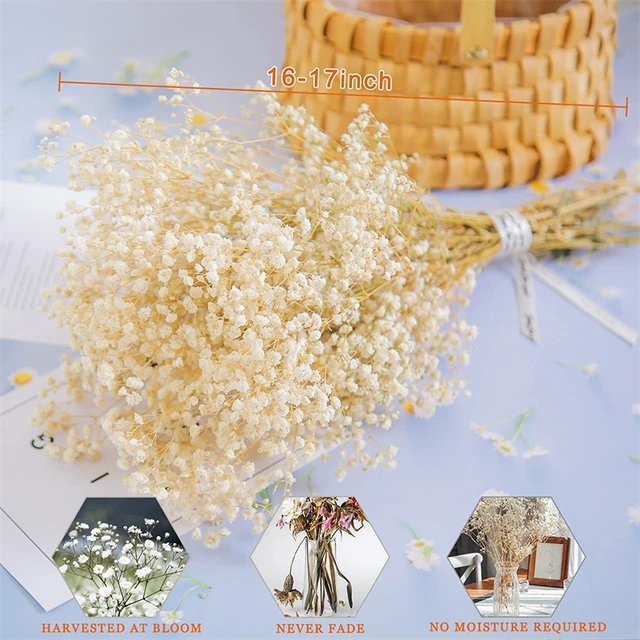 Gypsophila paniculata flor artificial de plástico pequeño ramo sala de  estar mesa de centro adornos boda diy Decoración - AliExpress