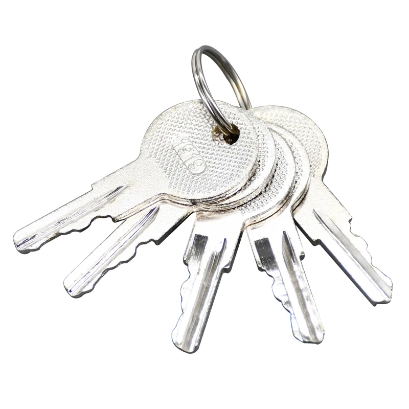 25 pcs Ignition Key 17063-G01 17063G1 Compatible with EZGO 1981-Up Series Gas and Electric Golf Carts Compatible with Club Car
