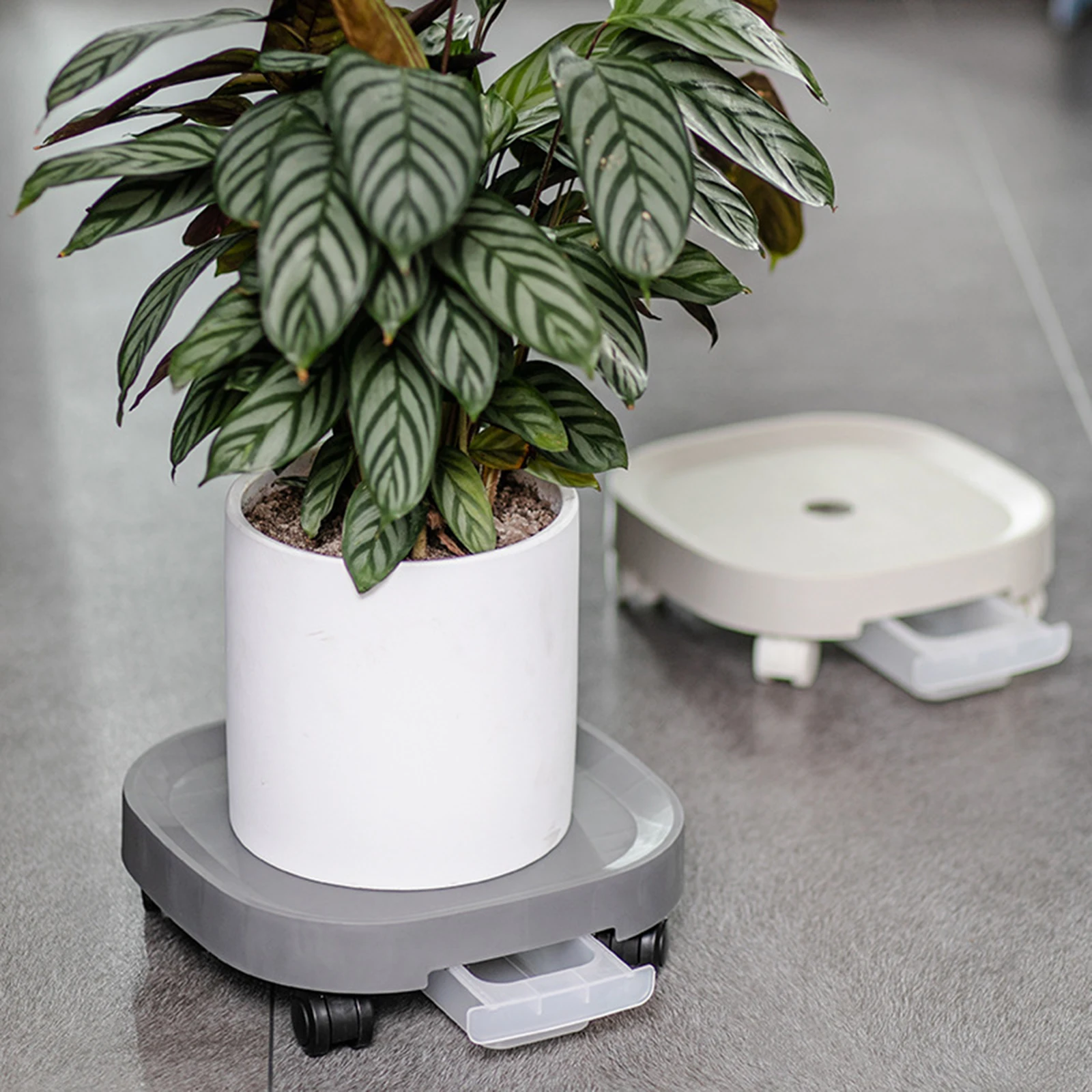 24cm/27cm Plant Caddy With 4 Wheels and Drainage Tray Garden Rolling