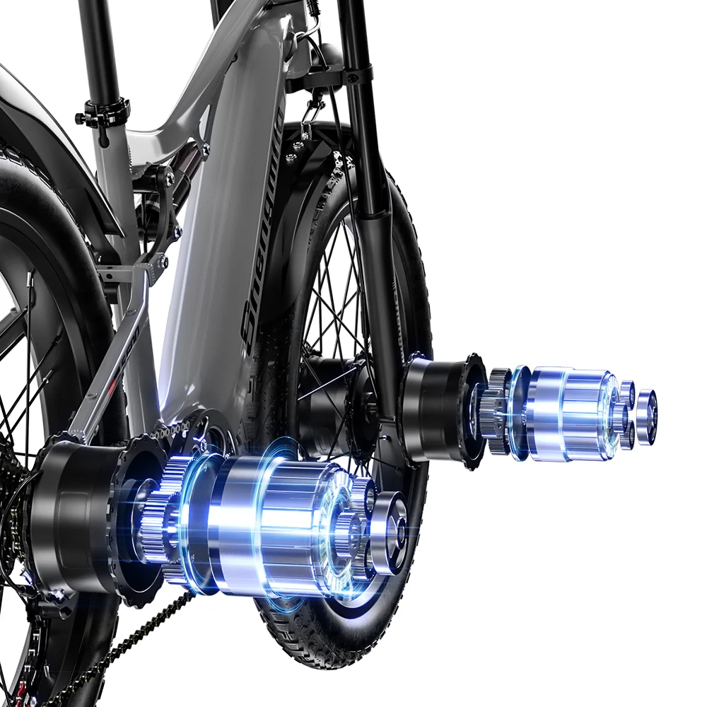 Electric Bicycle Electric Bike Shengmilo S600 Adult