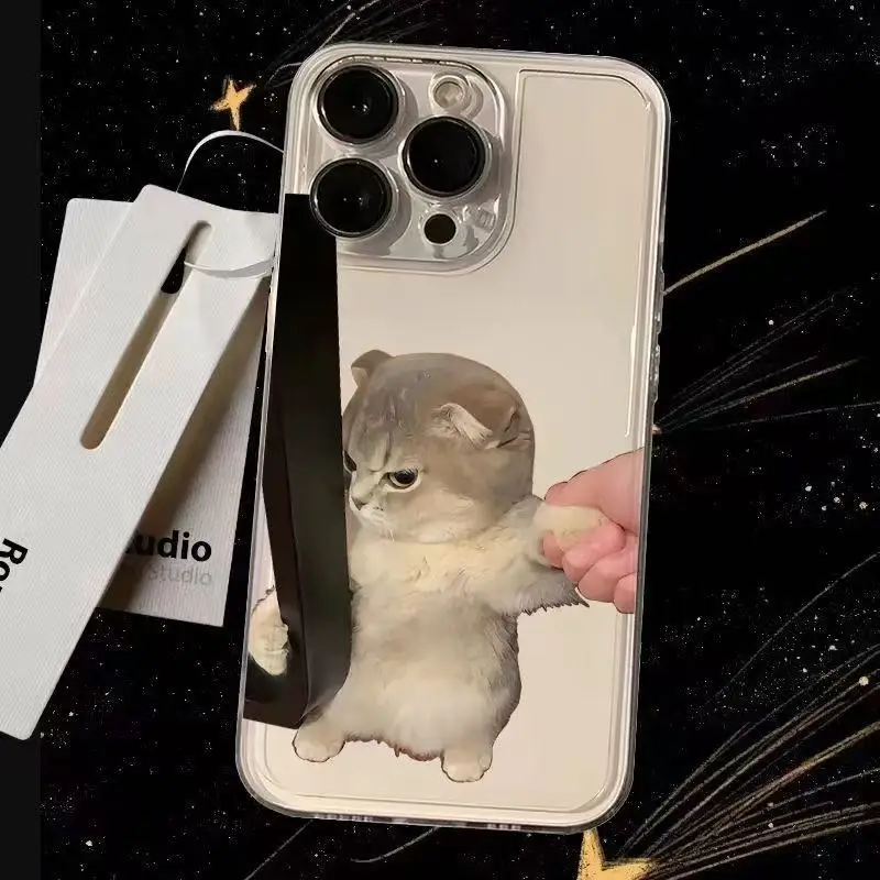 Humorous Angry Cat Dustproof Soft Transparent Phone Case Cover