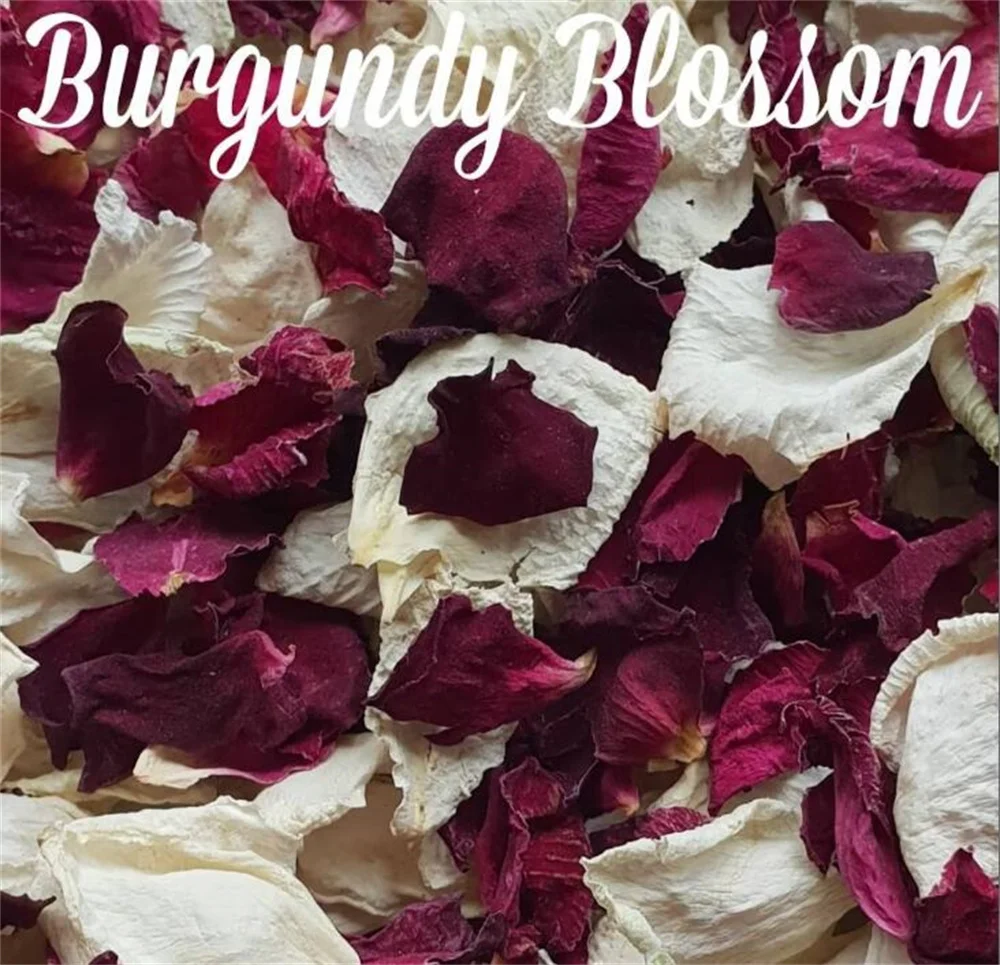 Burgundy Dried Rose Petals Luxury Biodegradable Rose Petal 