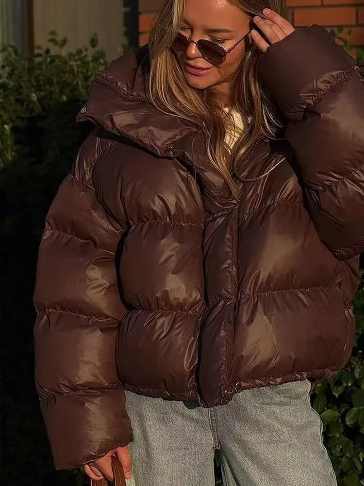 Women Brown Hooded Winter Jackets Fashion Long Sleeve Zipper Button Thick Loose Short Parka Coats Lady Casual Street Outwear