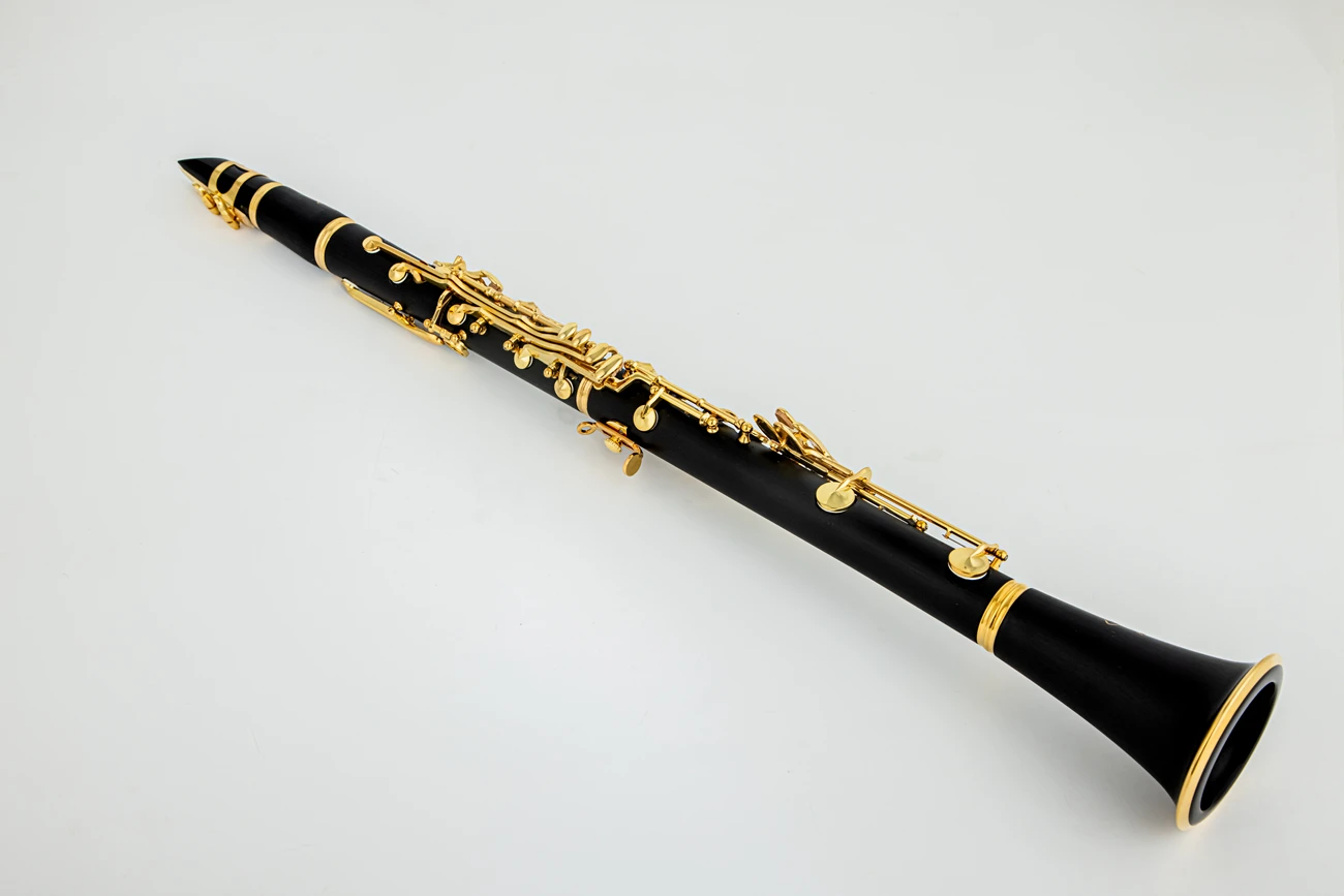 SADSN SCL-500 Clarinet Bb Tune Bakelite Wood Gold Keys Professional Woodwind Instrument With Case Accessories