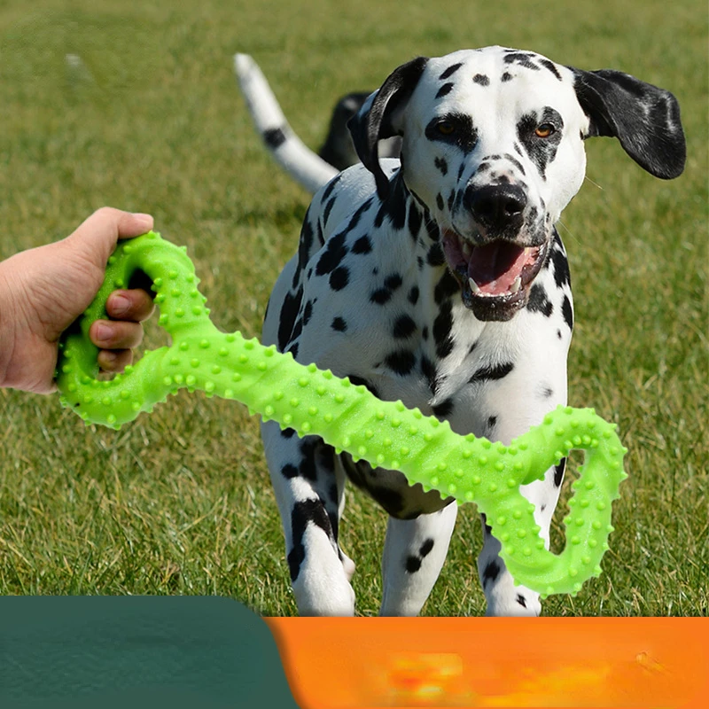 

Pet Dog Chew Toys Pull Ring Bone Bite Resistant Molar Toothbrush Small Medium Large Dogs Training Interactive Toys Pet Supplies