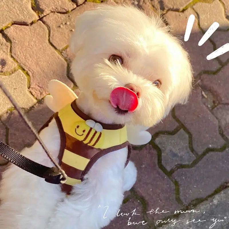 Ins New Bee Dog Chest Strap Cute Cartoon Vest Chest and Back Set Outdoor Walking Dog Leash Small Harness Cat Harness pet harness leash set pet harness set pet leash set