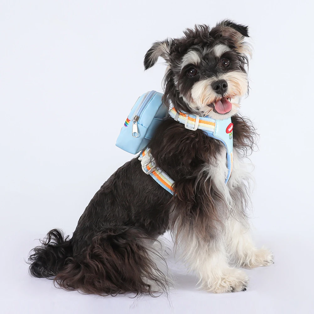Hundegeschirr mit Leine und Rucksack, reflektierende Regenbogen-Welpenweste mit Zugseil zum Spazierengehen, verstellbare Outdoor-Ausrüstung für Haustiere (Größe S)_voghion.com