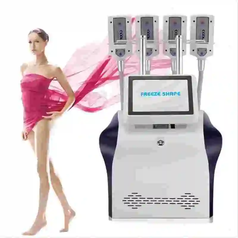 

Professional Multifunctional Portable 4 Handles EMS RF Cooling Body Weight Loss Skin Tightening Freezing Slimming Machine