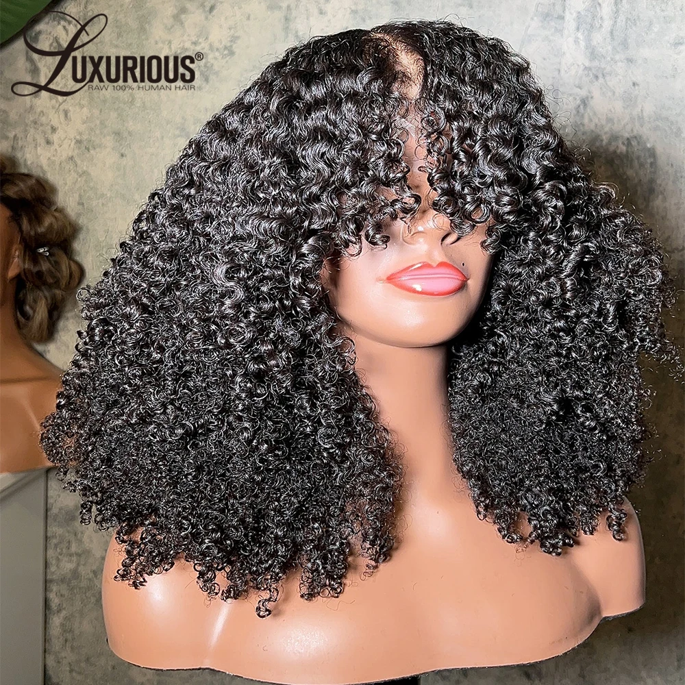 Bouncy Curly 4x4 Lace Closure Wig Human Hair 250% Density Blow-Out Afro Curly Lace Frontal Human Hair Wigs For Women Brazilian
