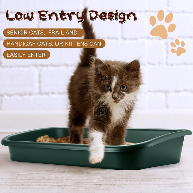 Older Cats Cat No Longer Using Litter Box Cat Litter Box Large Size