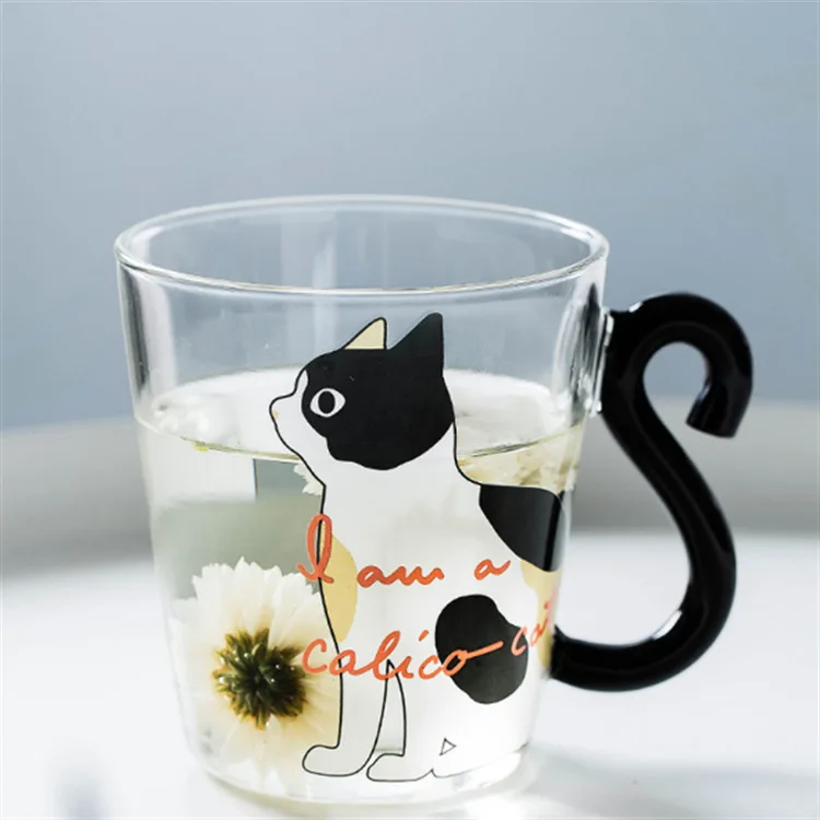 

Black and white cat breakfast milk couple water cup