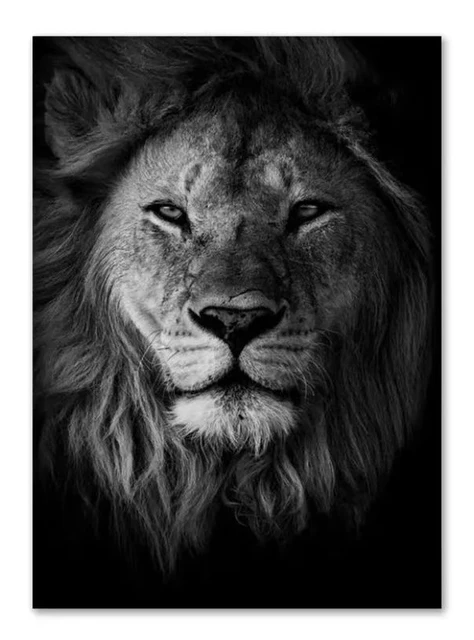 Black and White Animal Family Poster Lion Family Print Canvas Wall Art Modern Painting Picture Decor Bedroom Aesthetic Art 10