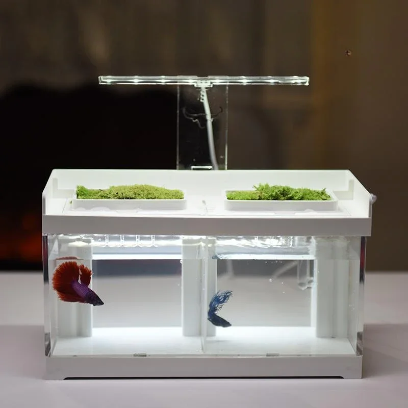 

Креативная двухсетчатая изоляция бака Betta акриловый Настольный экологический фильтр для замены воды с детской обогревающей группой предназначенный ряд