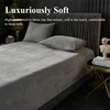 Thick Velvet Fitted Sheet and Pillowcase 3 Pieces Set High Quality Non Slip Mattress Cover Protector Soft Bed Sheet Pillow Case 4